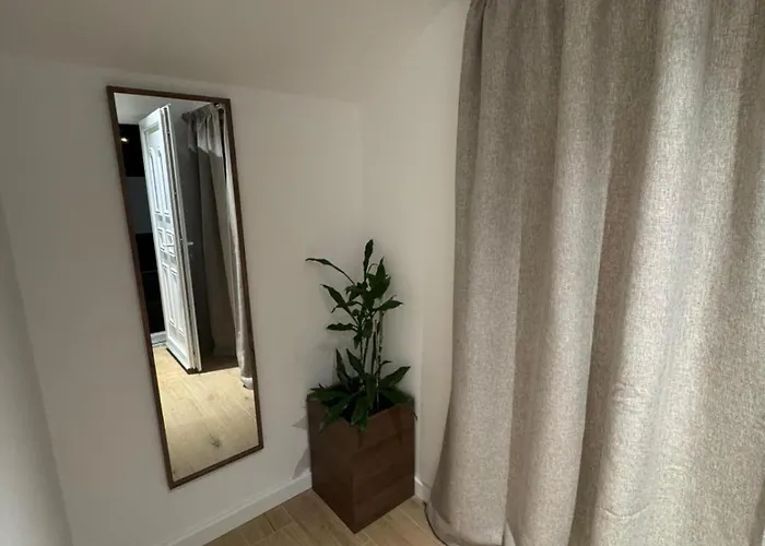Apartment Modern Design I Stylish & Comfortable